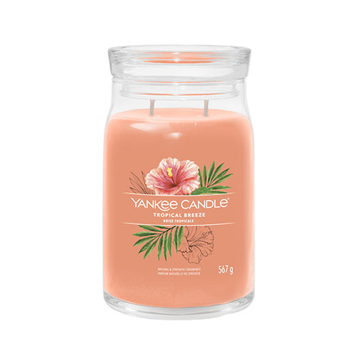 Yankee Cirle Tropical Breeze Signature žvakė