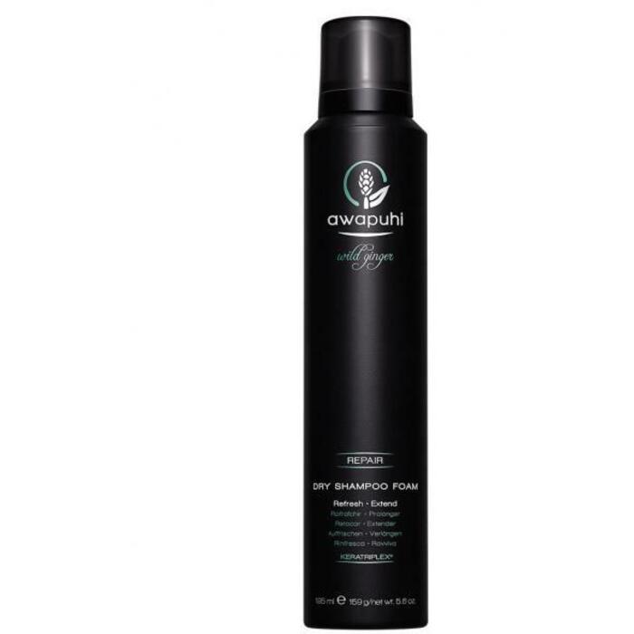 Paul Mitchell Awapuhi Wild Ginger sauso šampūno putos (195ml) Moterims